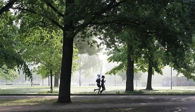 Les Offres Sportives à Ne Pas Manquer Cette Saison