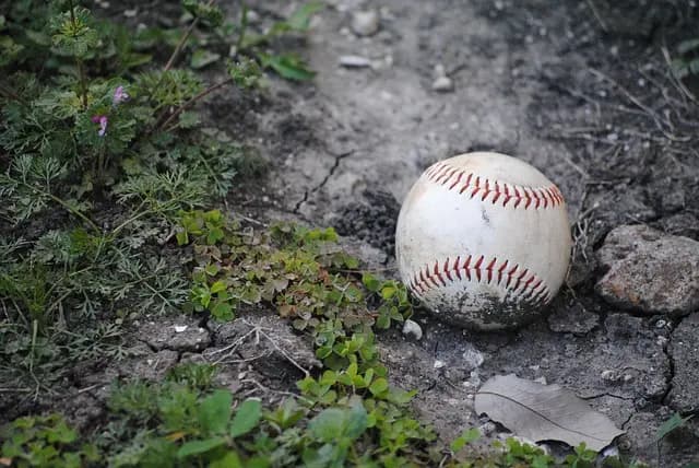 How to Navigate Top Sport Deals for Maximum Savings