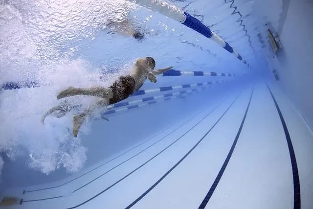 Comment Évaluer les Offres Sportives en Ligne