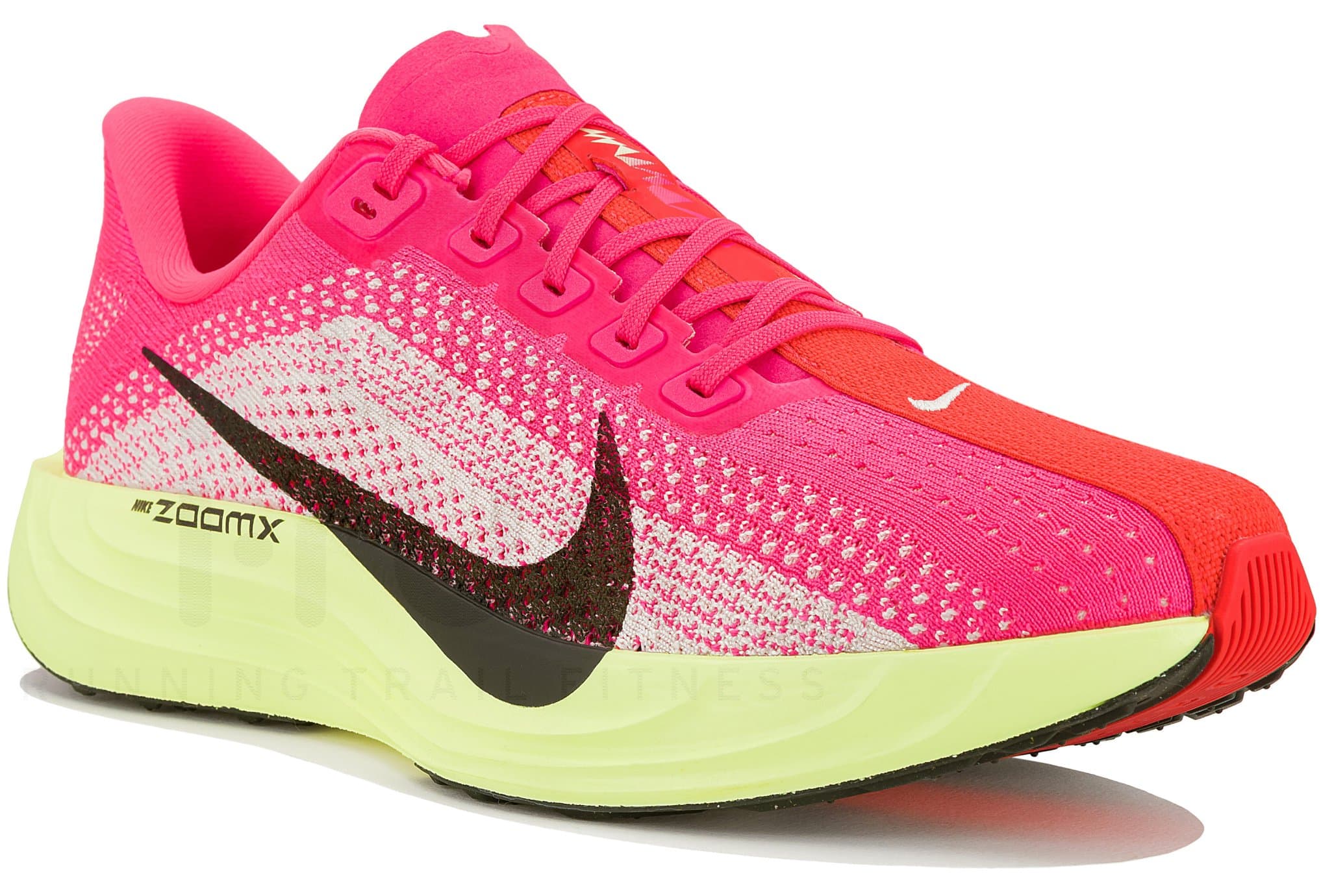 Nike Pegasus Plus