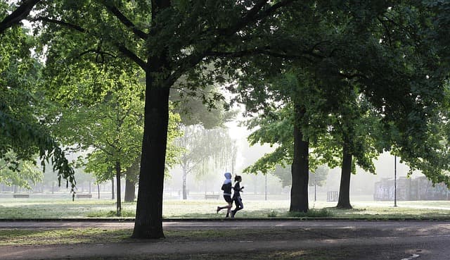 Comment dénicher les meilleures offres sur le matériel sportif