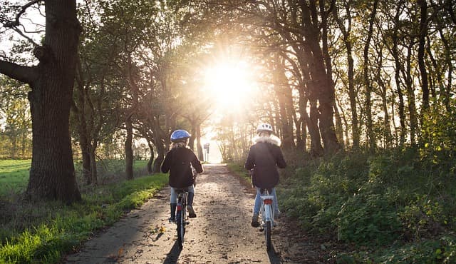 Comparatif des Meilleurs Vélos de Route à Prix Réduits